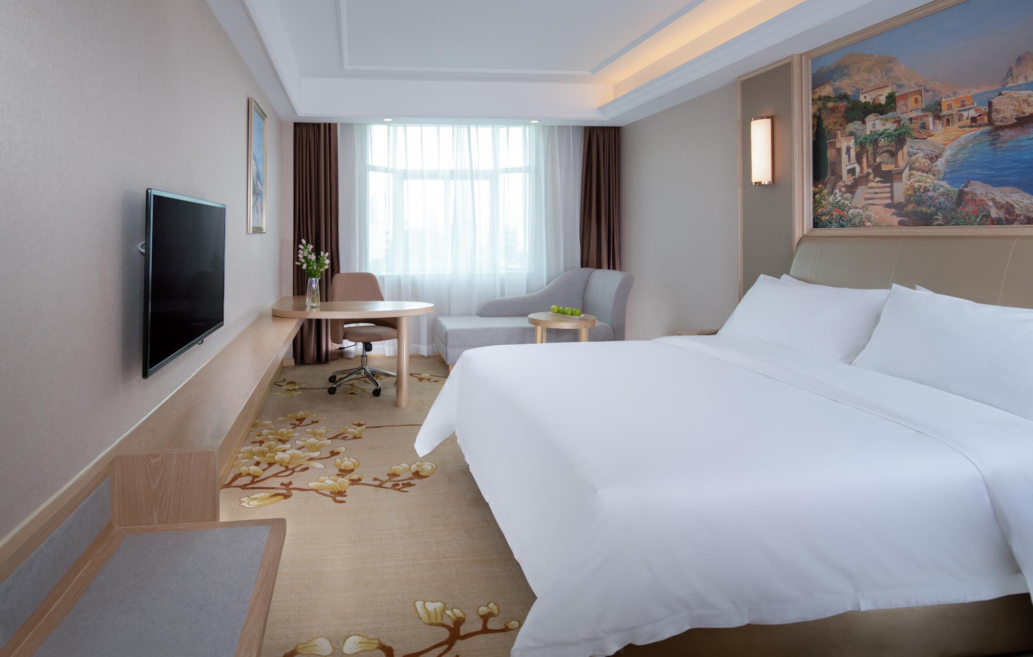 Vienna Hotel (Shenzhen Botanical Garden Road store) 32/52