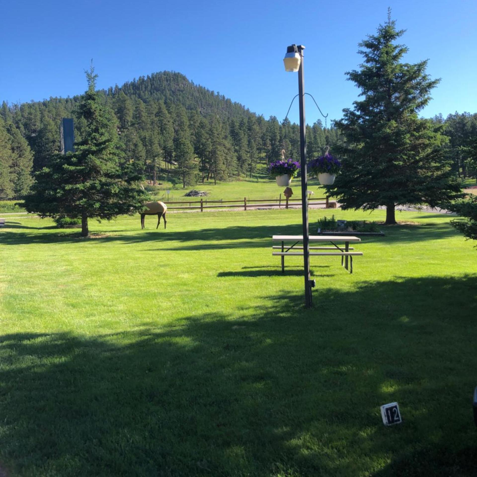 Springcreek Inn 21/22
