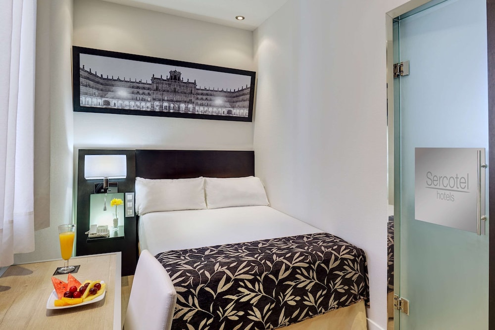 Sercotel Las Torres Salamanca酒店(Hotel Sercotel Las Torres Salamanca) 图片3