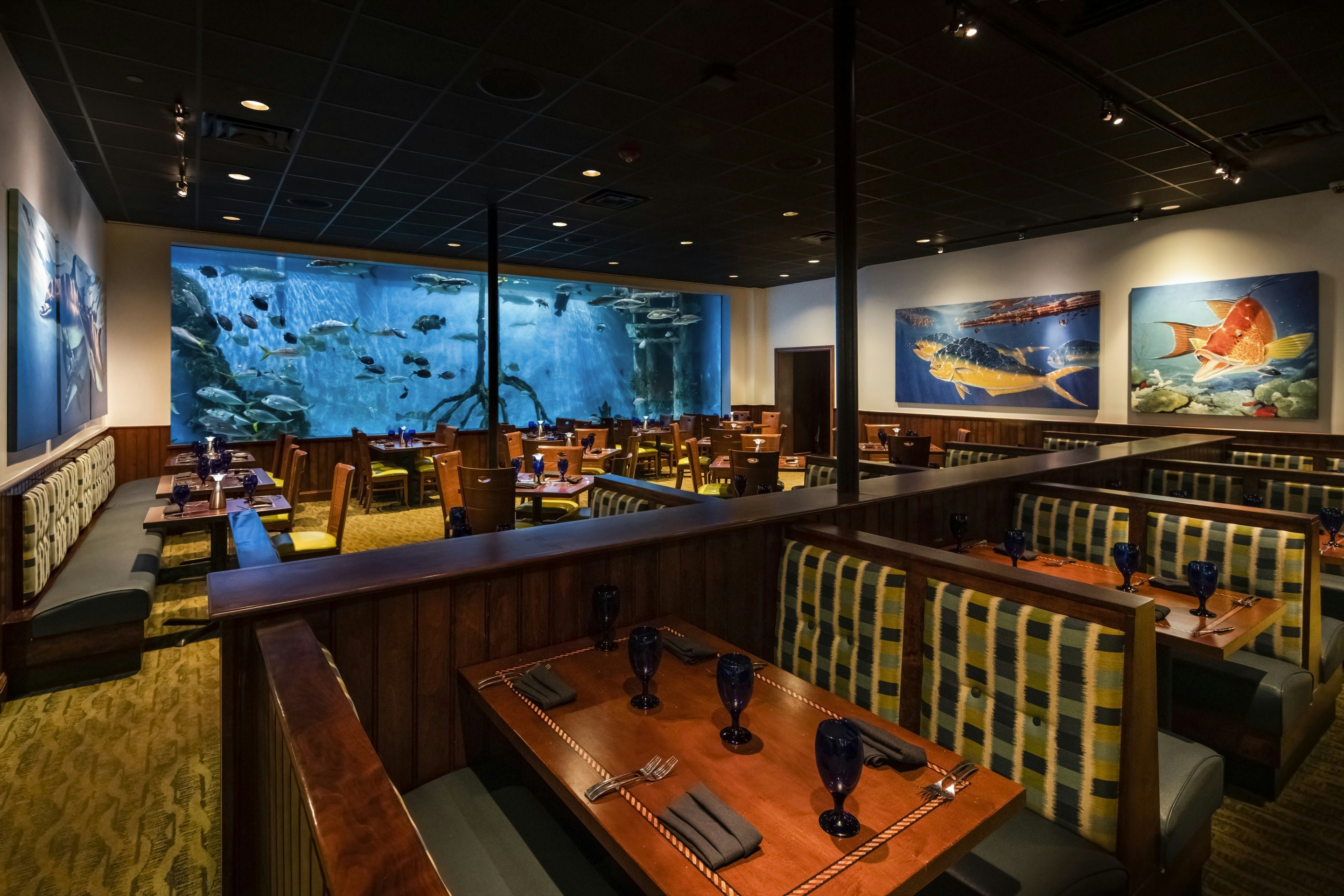 RumFish Beach Resort by TradeWinds 34/59