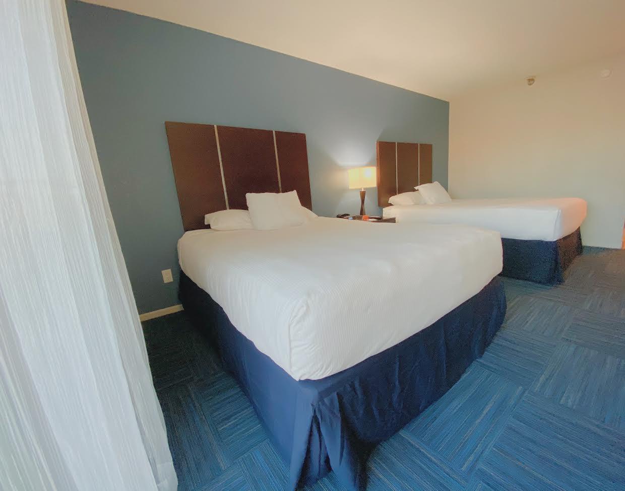 Family Suite, Executive