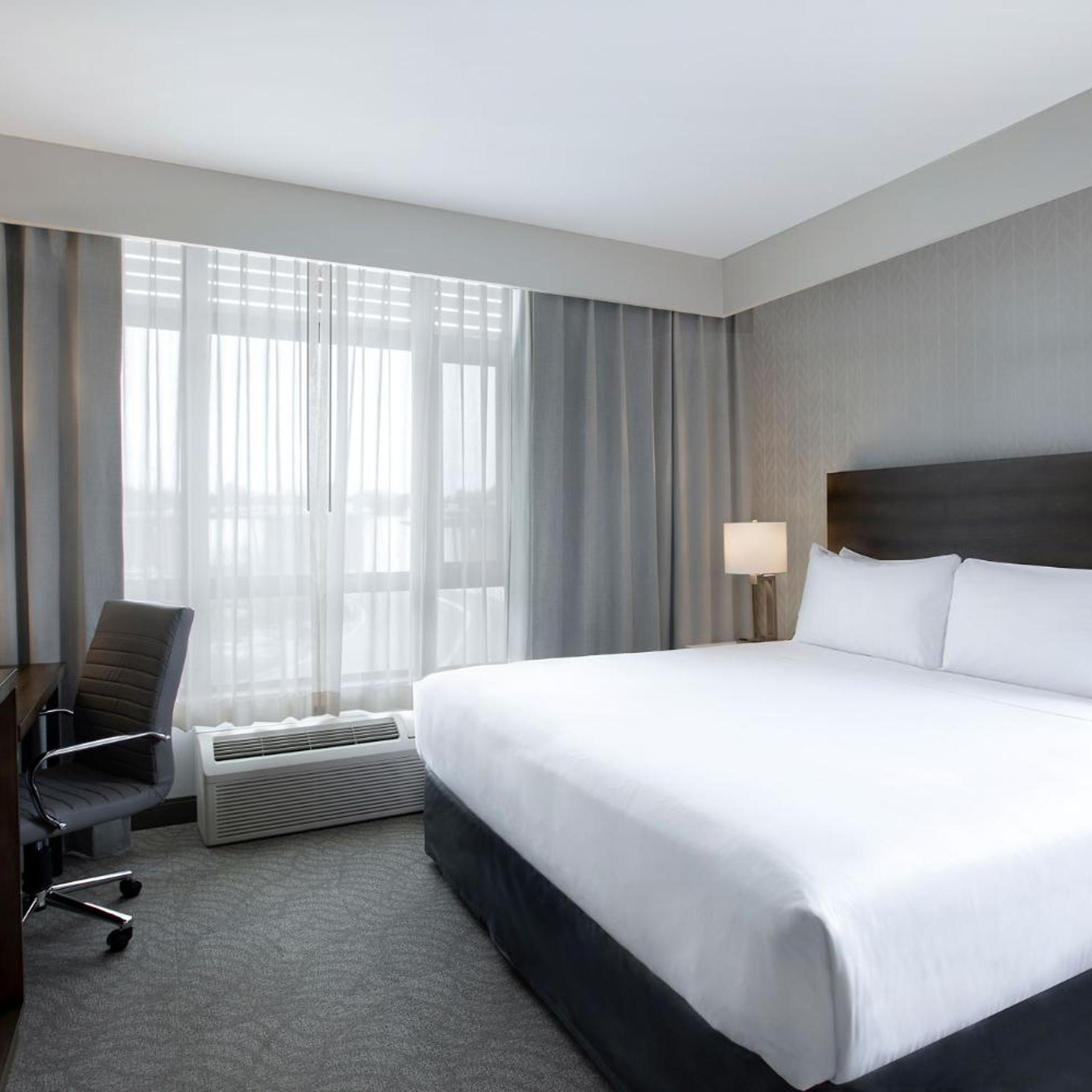 Suite, King Bed, Casino View