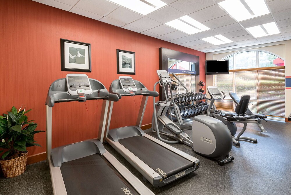 Hampton Inn And Suites Florence North I 95 Sc 28/48