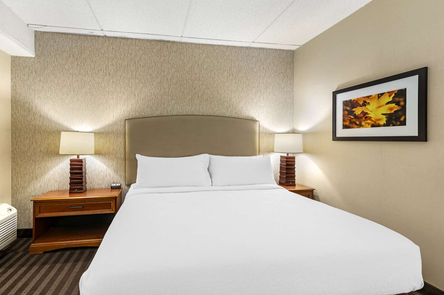 غرفة بسرير كينج، Best Western Springfield Hotel 3/4