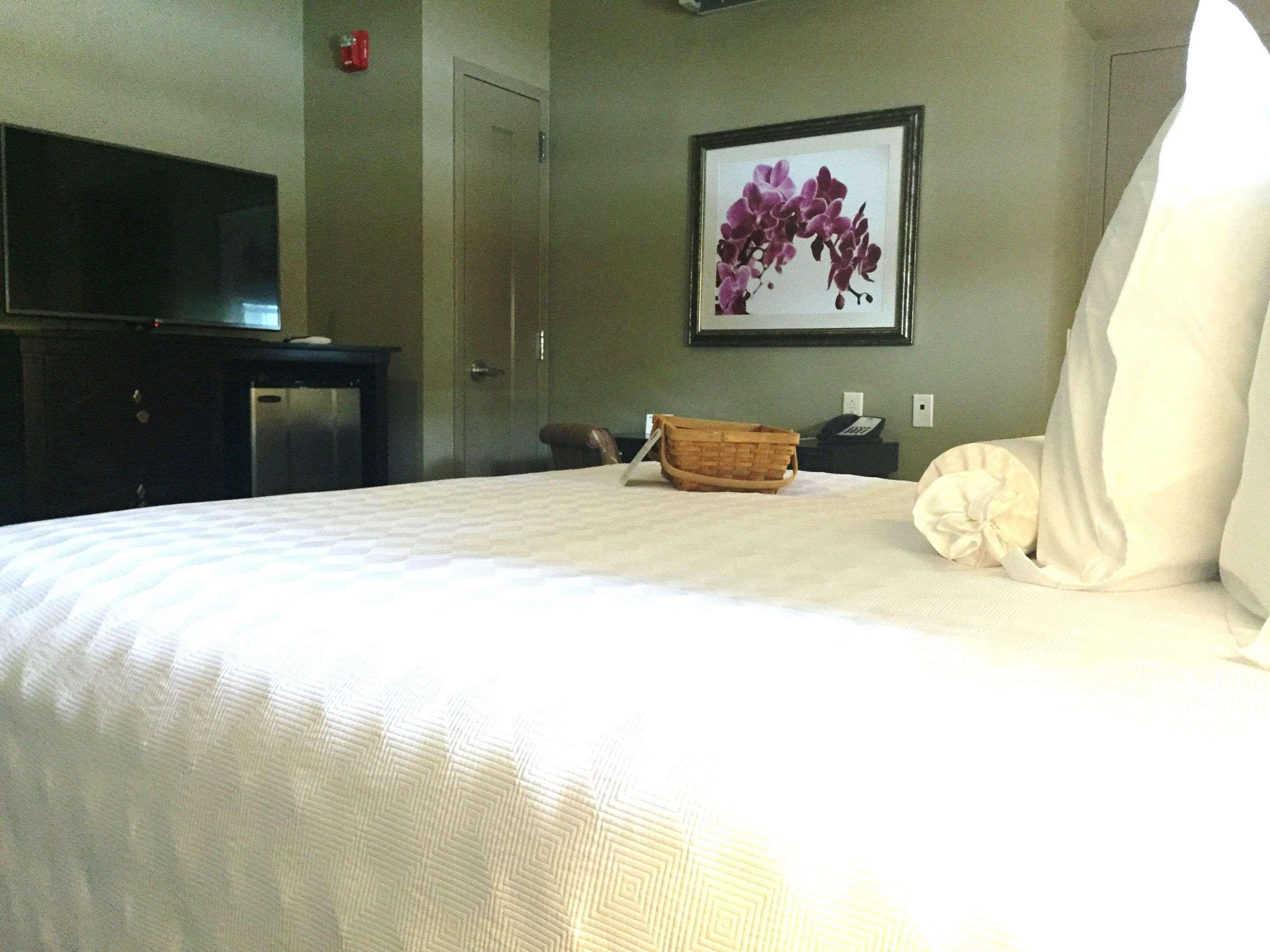 Room, King Bed