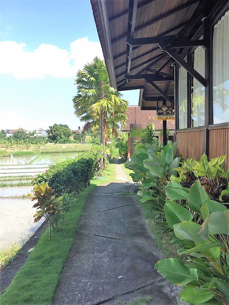 Kampung Canggu 41/50