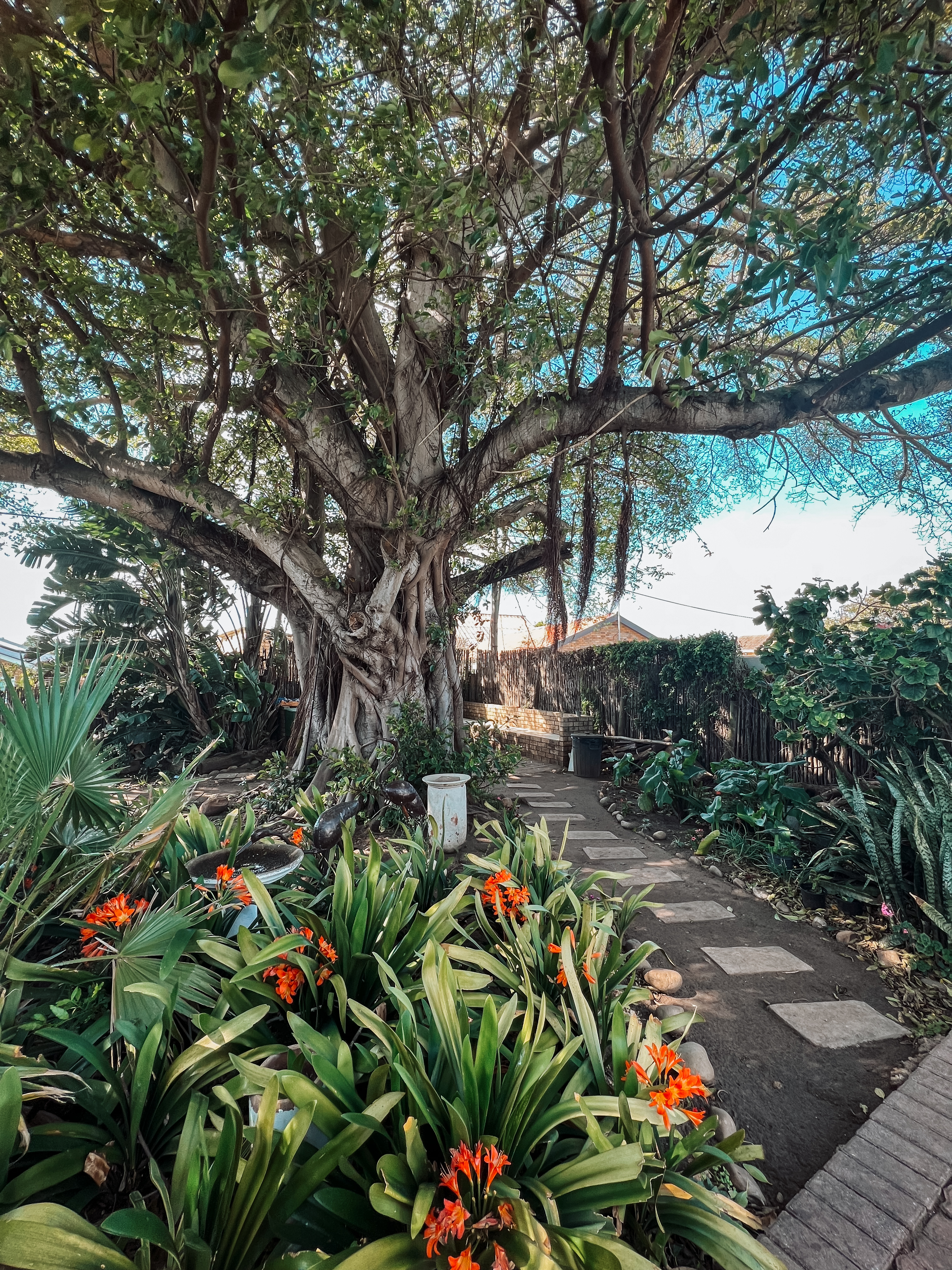 Aquarius Bed & Breakfast 35/43