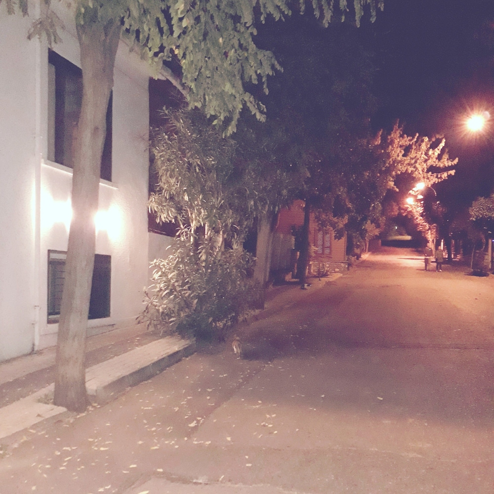 Orhan Kutbay'in Evi Turyolu Cafe Pansiyon 40/50