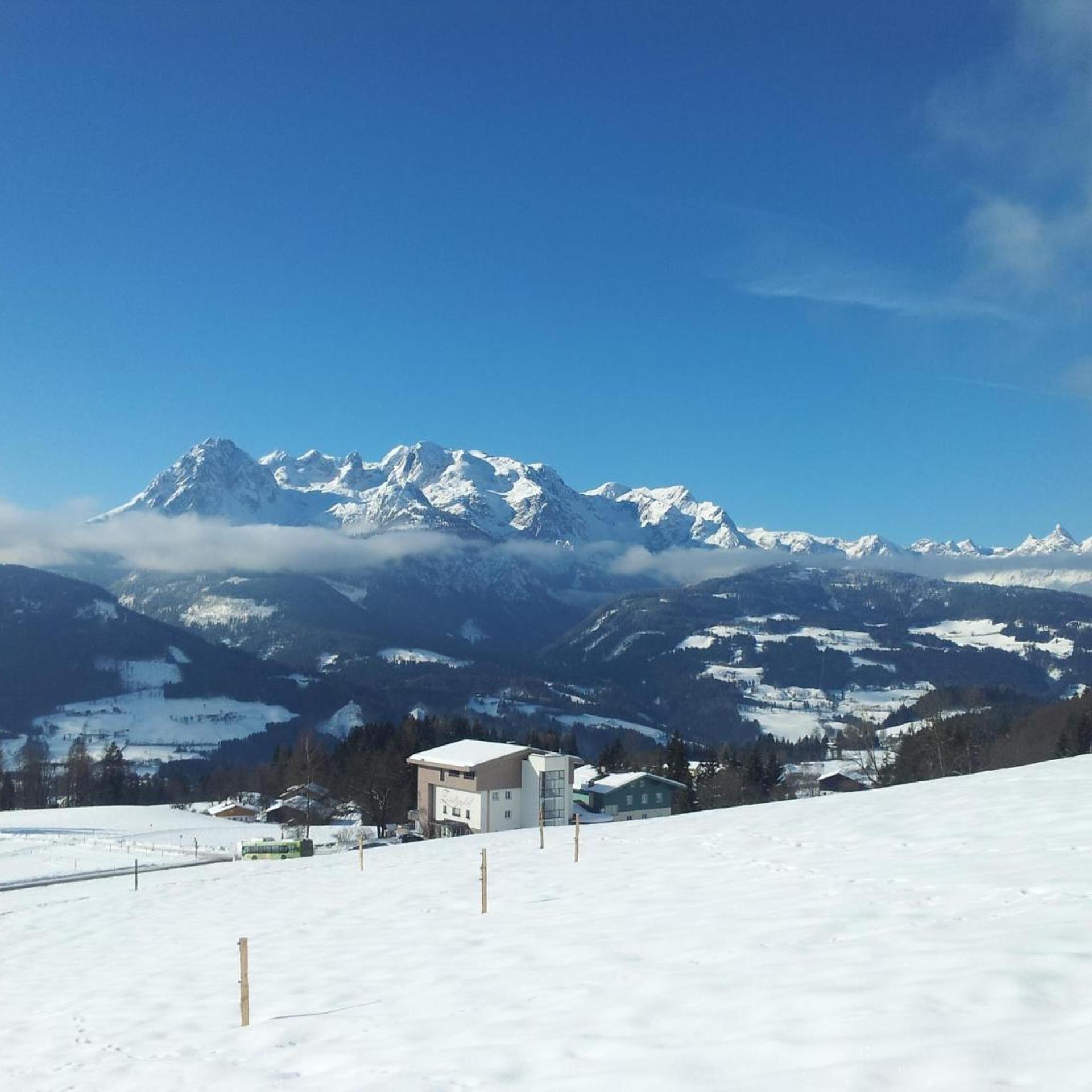 Zistelberghof 41/50