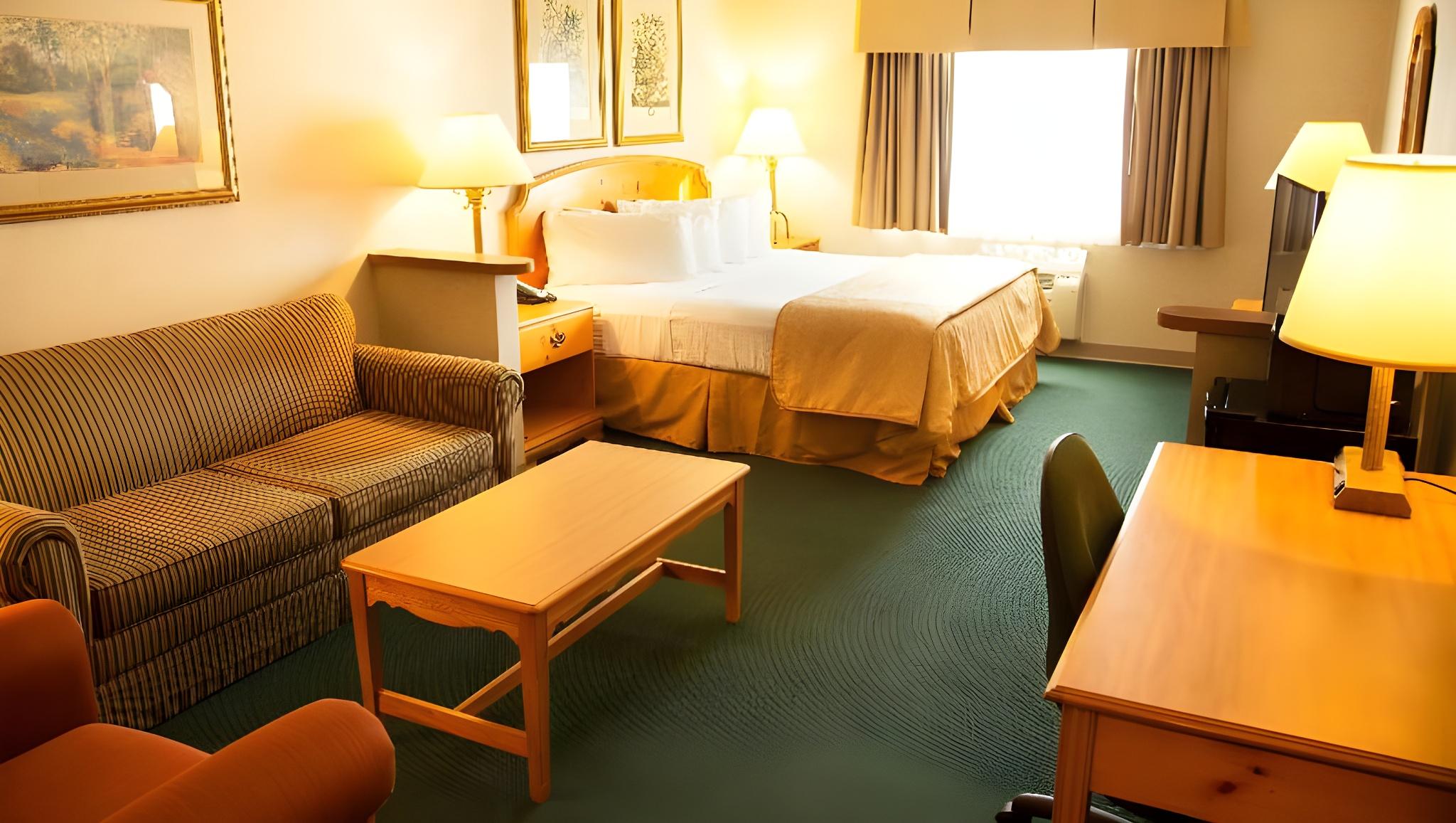 Mini, Suite, Accessible