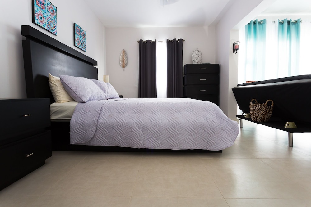 Kingston Luxury Guest Apt At Sullivan 4/19