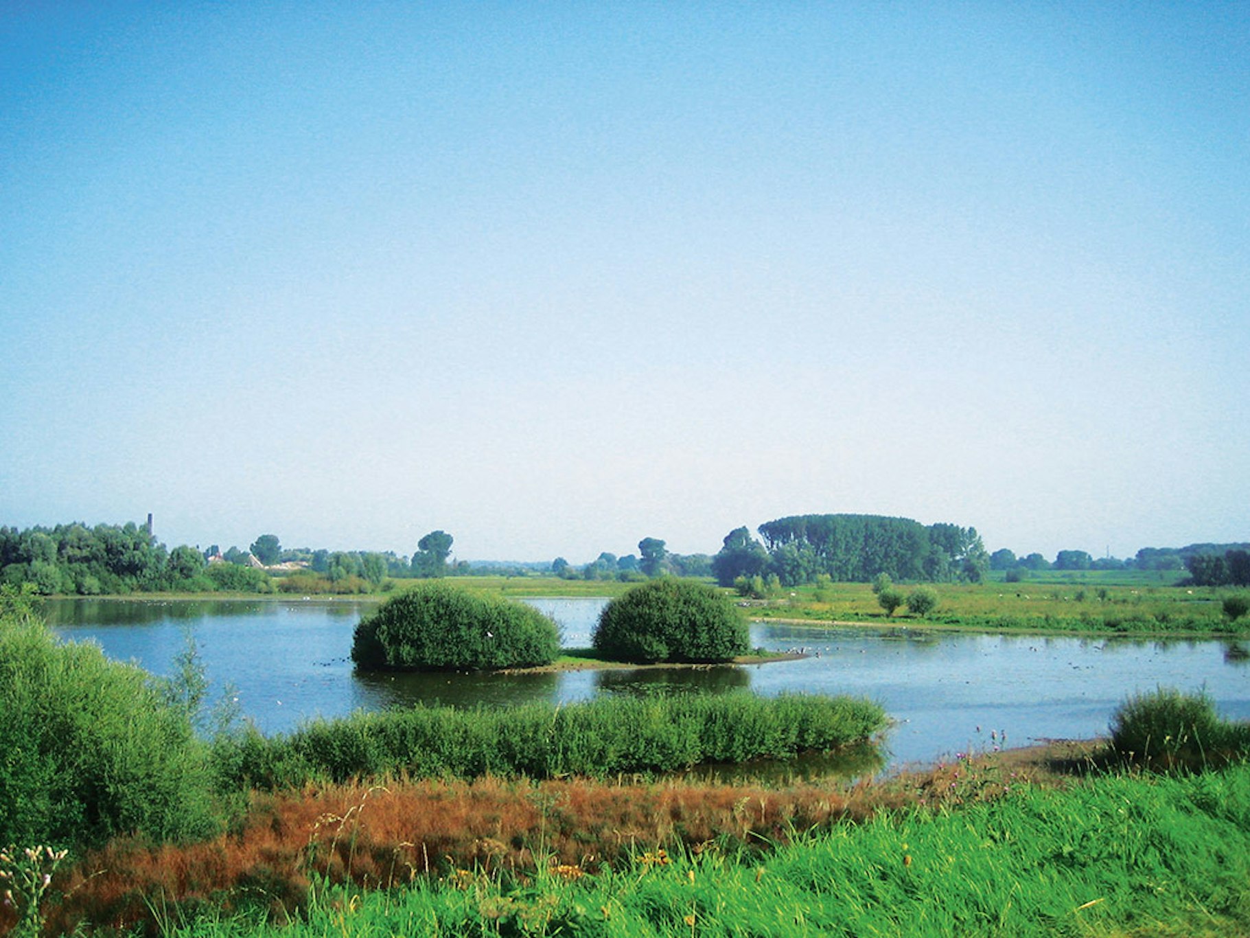 De Geldersepoort 41/41