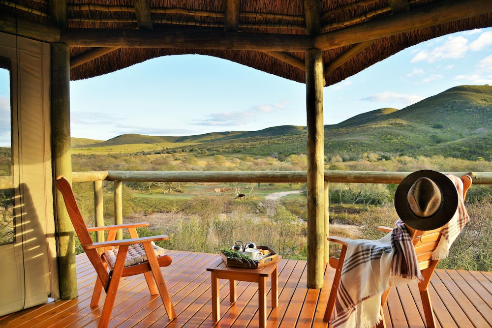 Garden Route Safari Camp 16/50