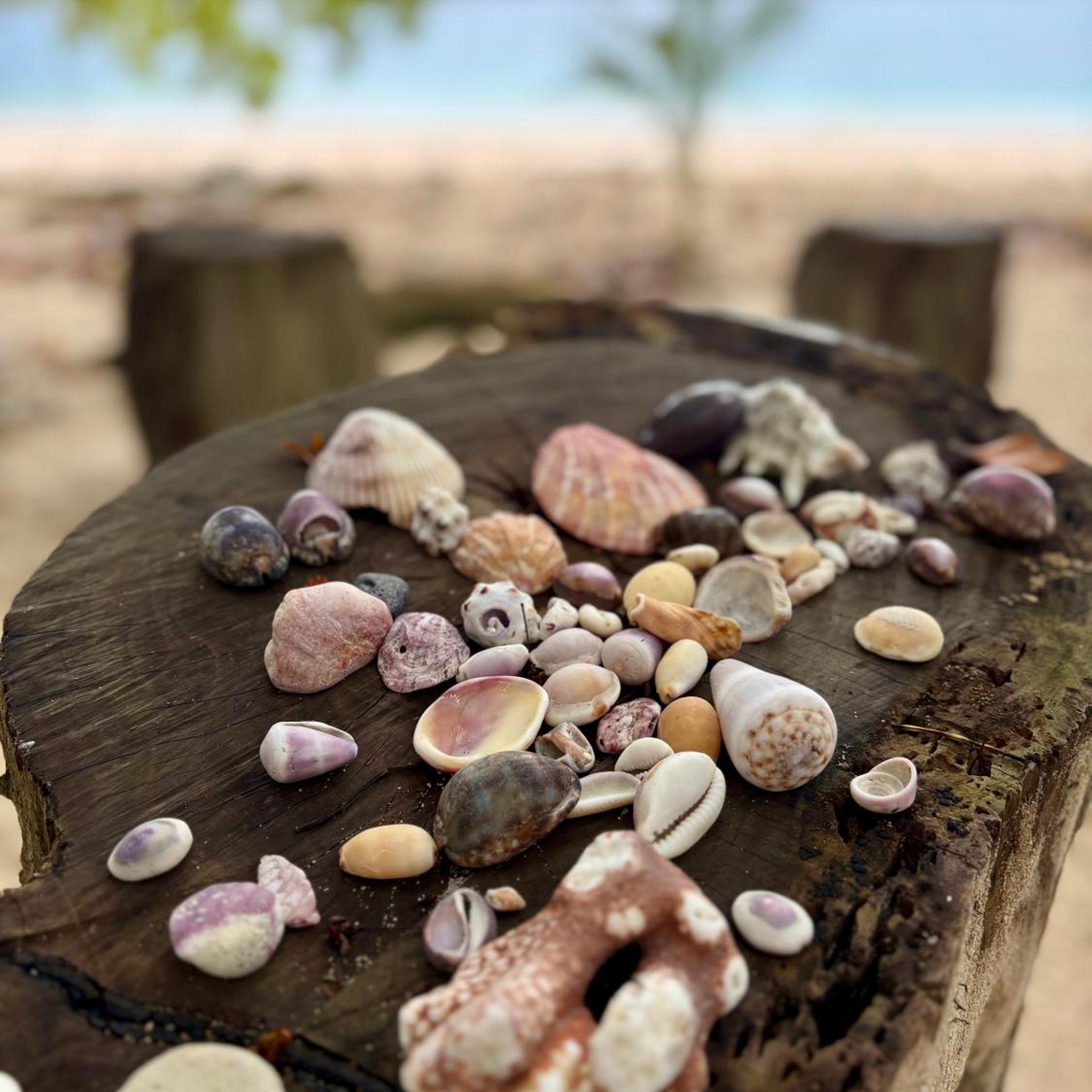 Dany Island Eco Resort 22/50