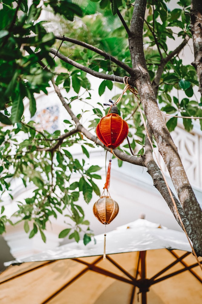 ニャン プー ヴィラ(Ngan Phu Villa) 写真4