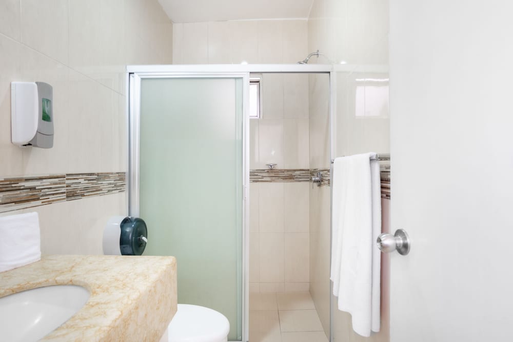 Hotel Maioris Guadalajara 22/44