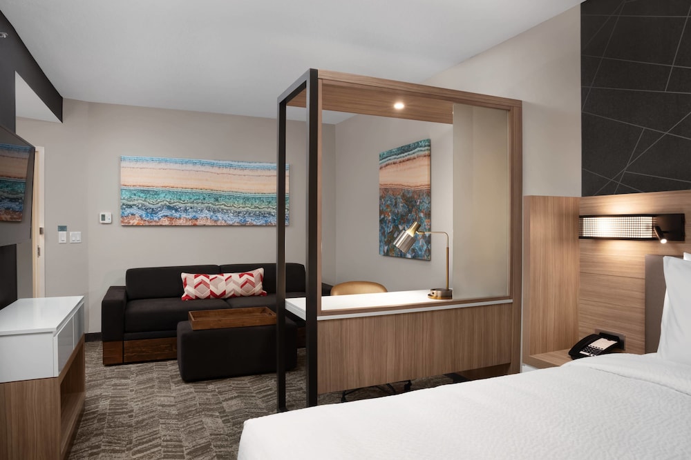SpringHill Suites by Marriott Orlando Theme Parks/Lake Buena Vista 12/62