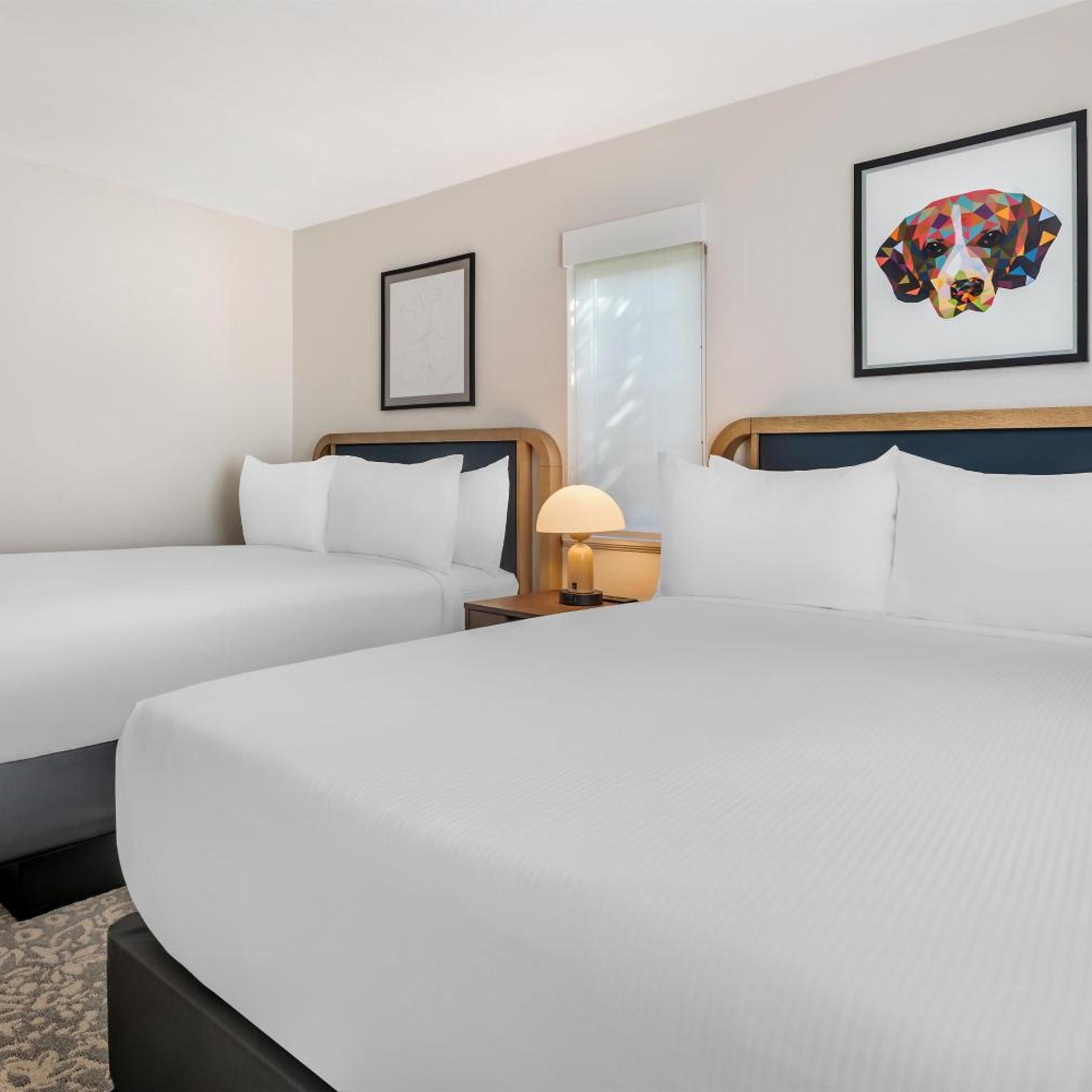 2 BEDROOMS, SUITE, 2 DOUBLE BEDS, ACCESSIBLE