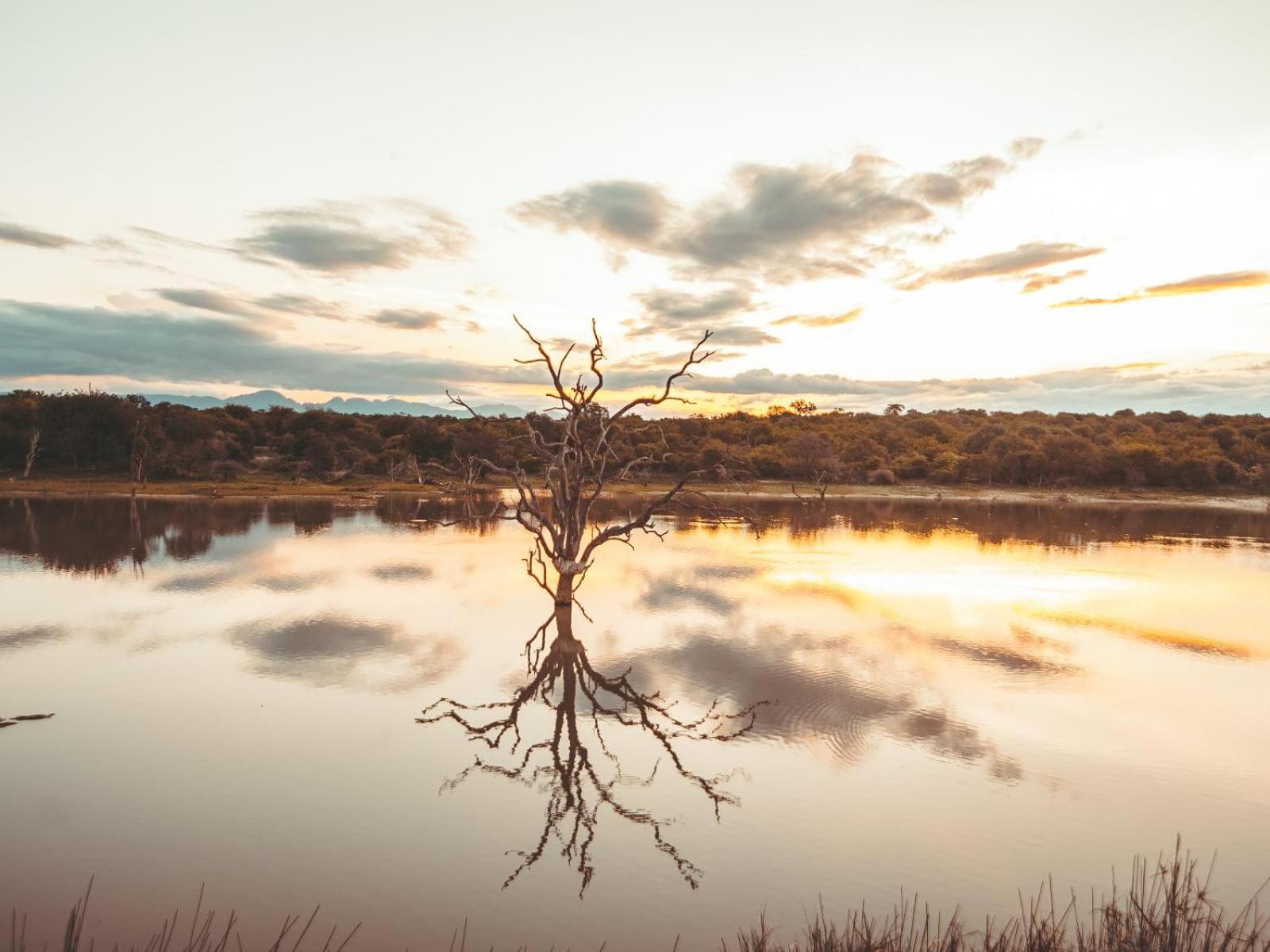 Maroelani Private Nature Reserve 46/50