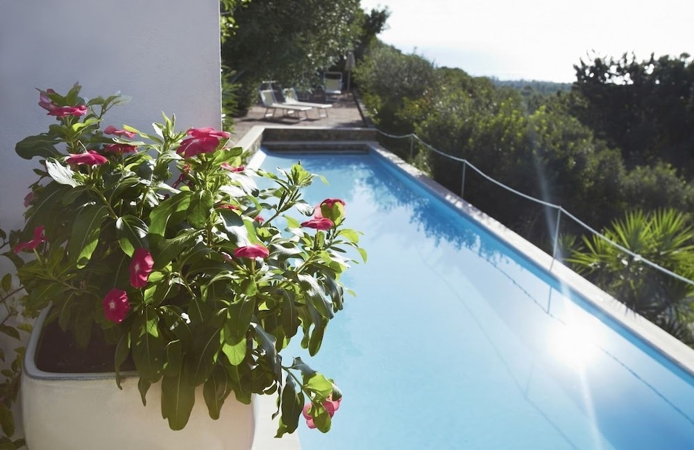Relais Rio Molas 4/50