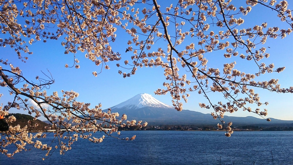 Lake Villa Kawaguchiko 53/70