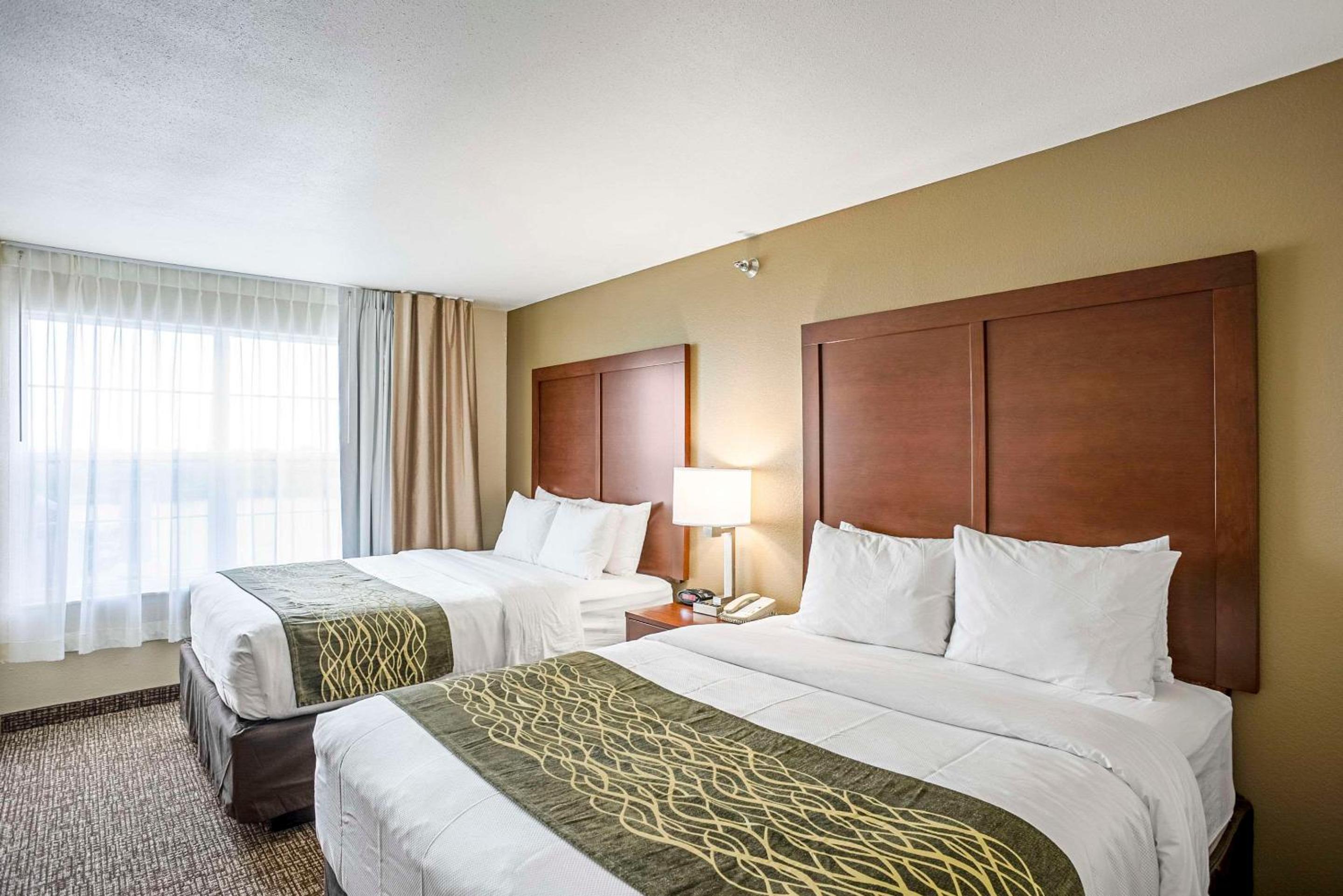 1 Bedroom, Suite, Queen Bed, Sofa