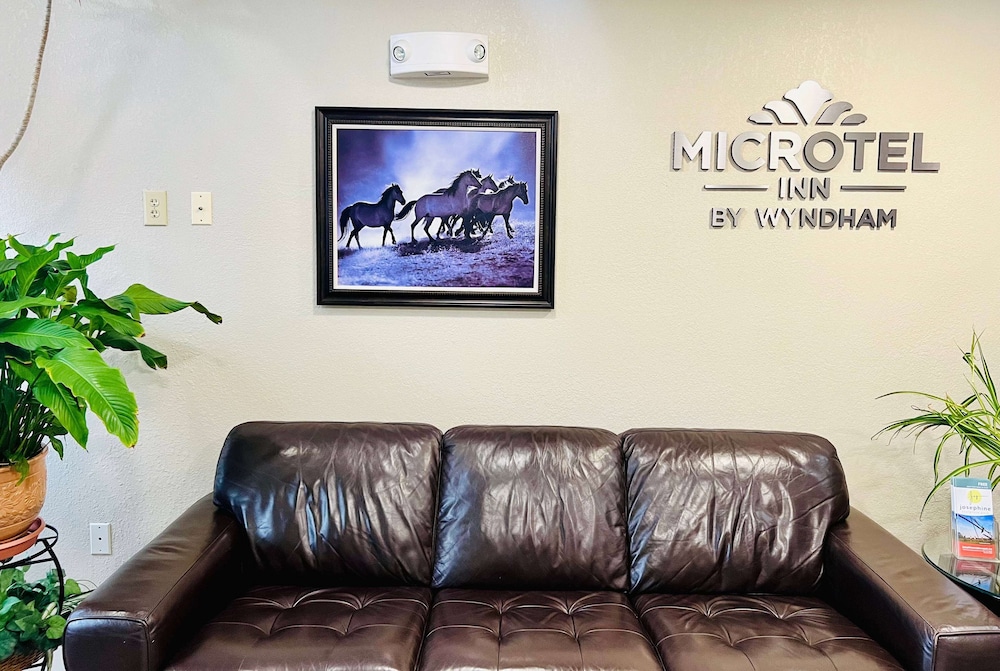 Microtel Inn Suites By Wyndham Georgetown 40/59
