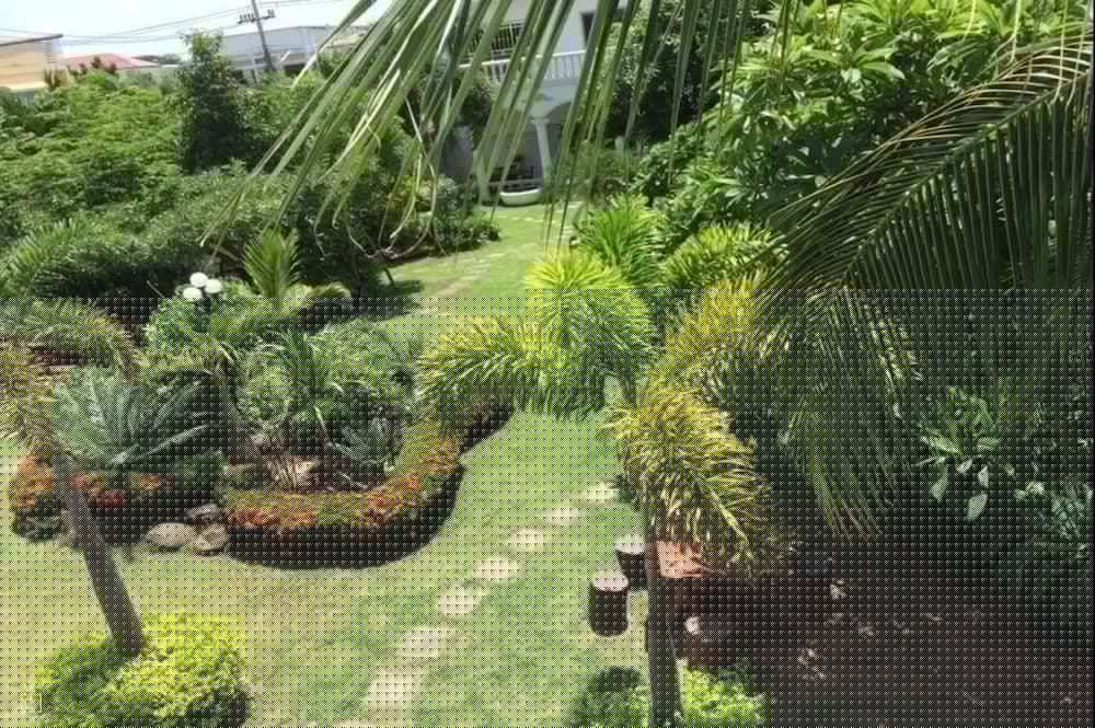White Elephant Resort 38/43