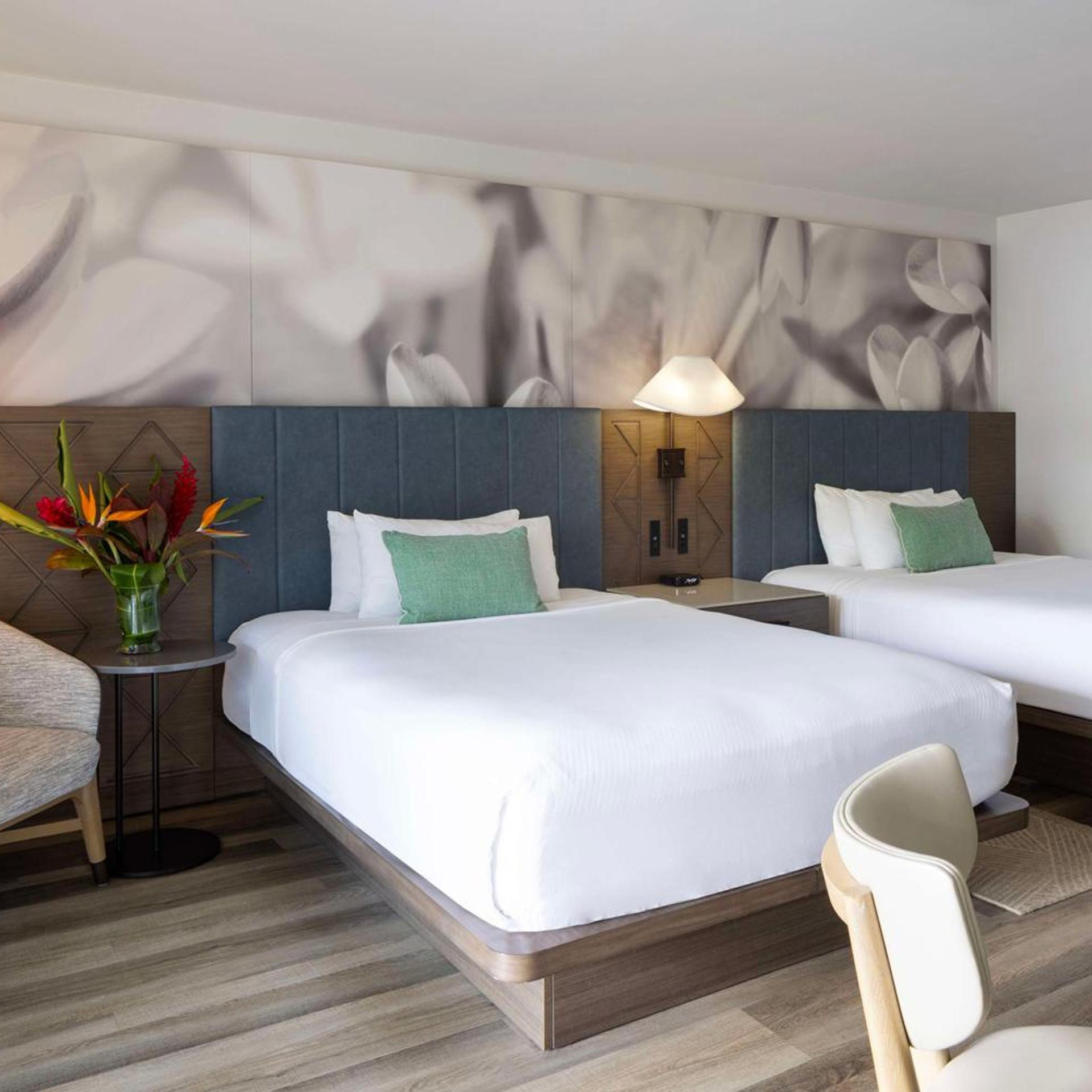 Room, Double Bed