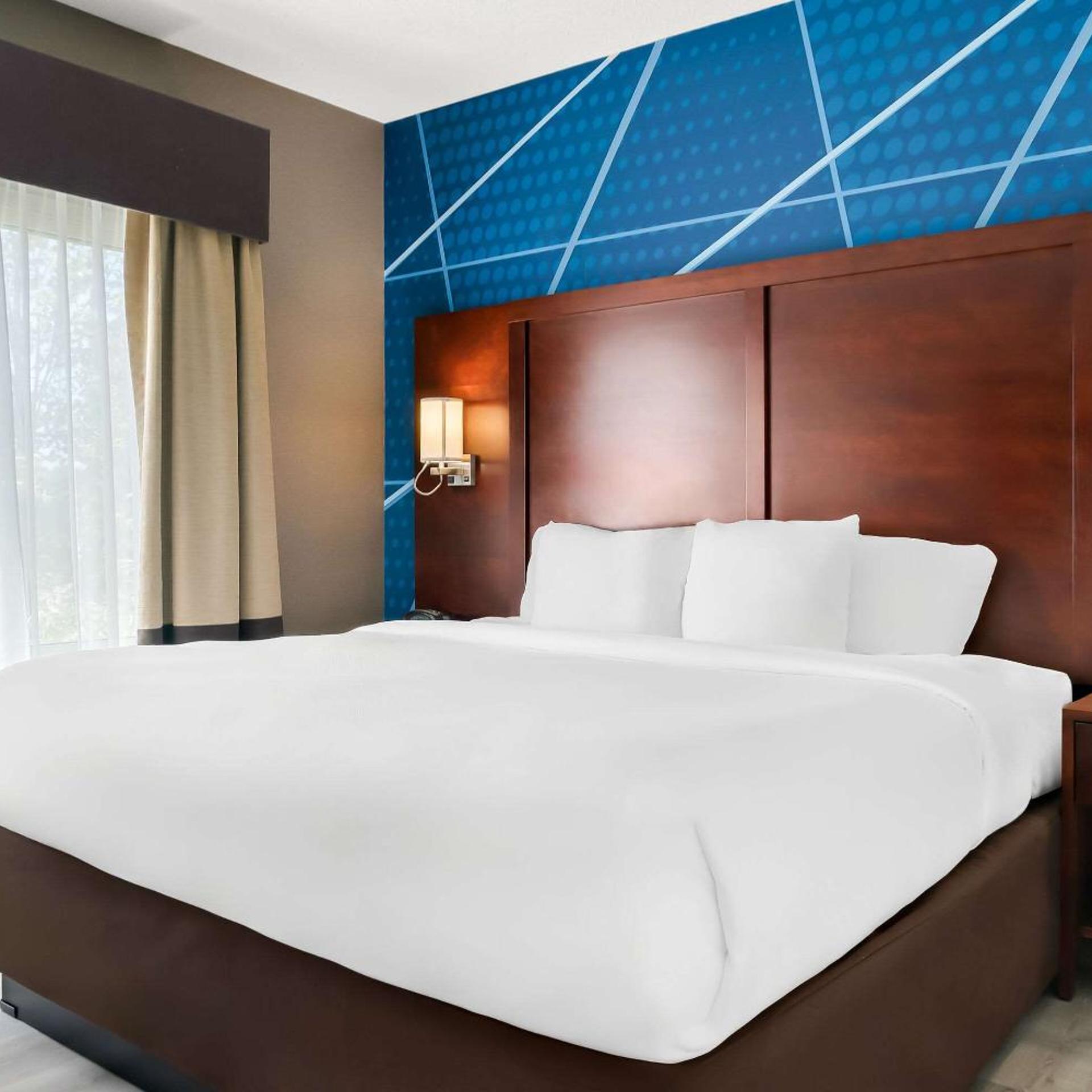 Superior, Suite, King Bed