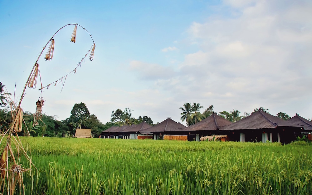 Kayangan Villa Ubud 69/74