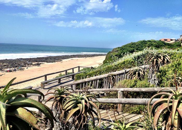 Surfpoint 9 16/18