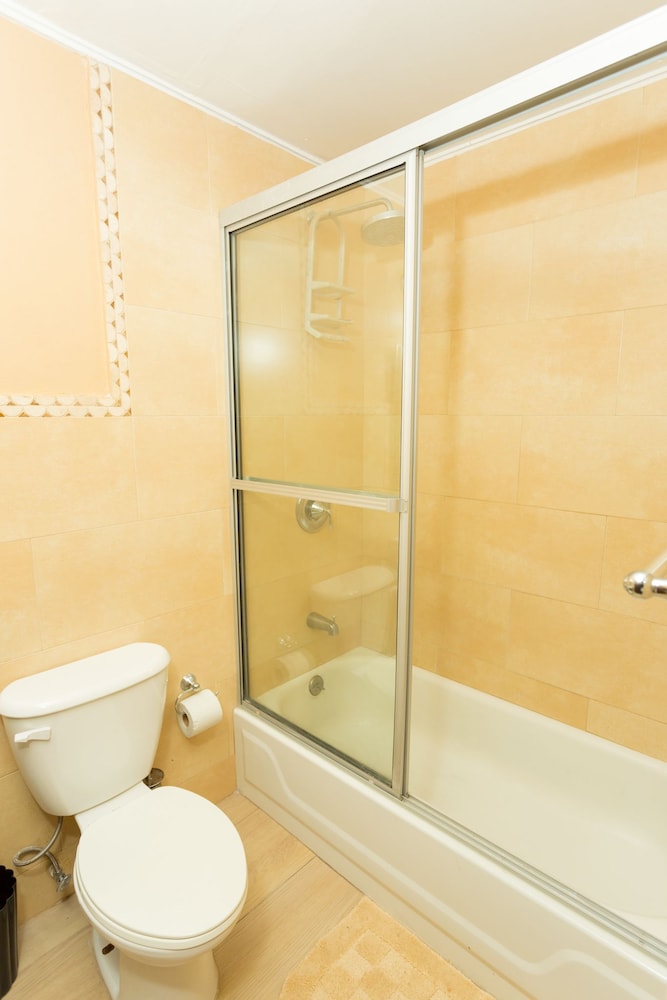 New Kingston Guest Apt At Dorchester 25/32