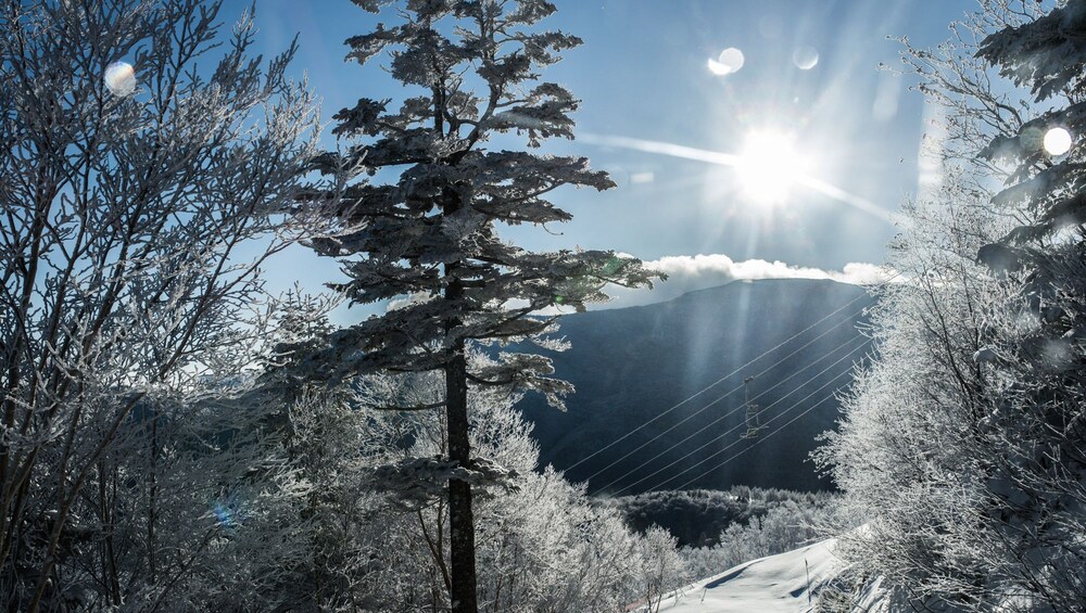 Okushiga Kogen 30/37
