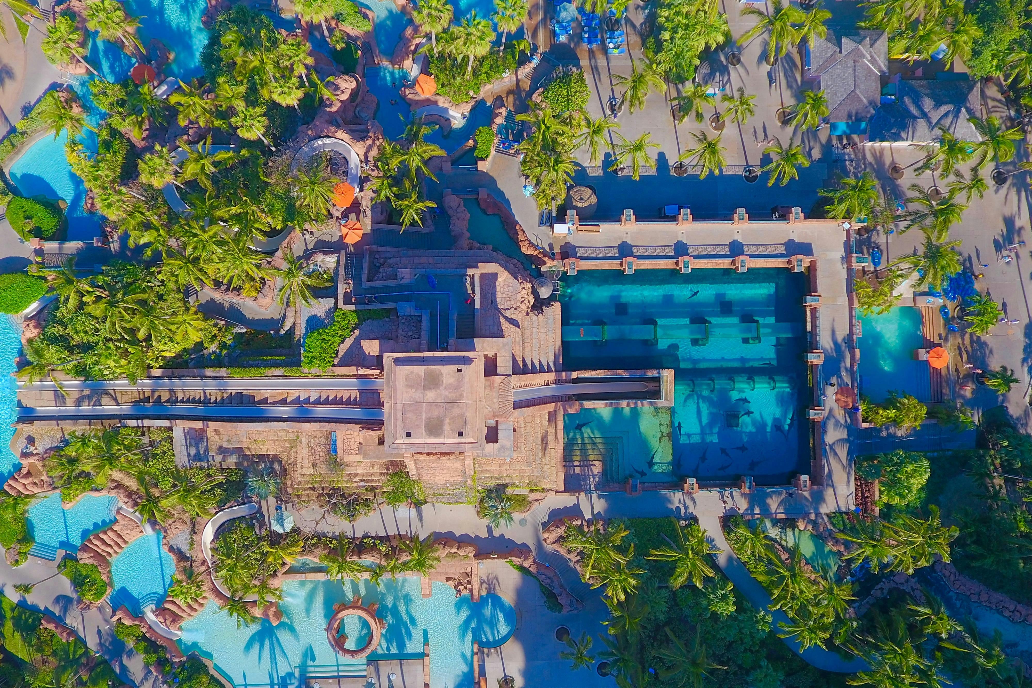 The Cove at Atlantis 67/67