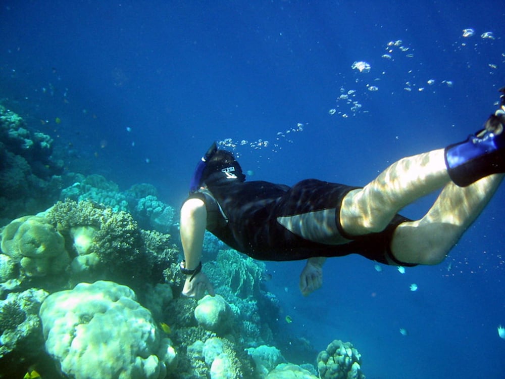 Red Sea Relax 27/37