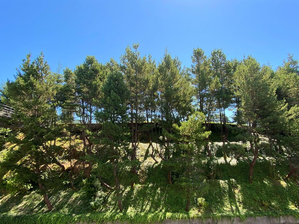 Best Western Plus Agate Beach Inn 41/46