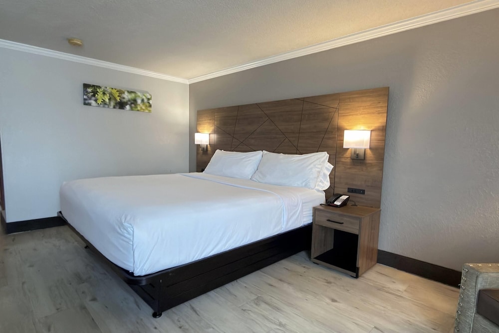 Room, King Bed, Accessible