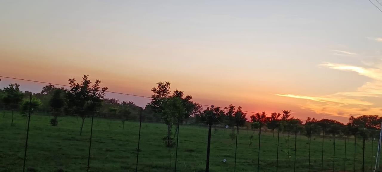 El Rancho Grande 24/33