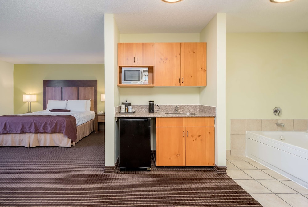 White Pines Inn & Suites of Holland 23/48