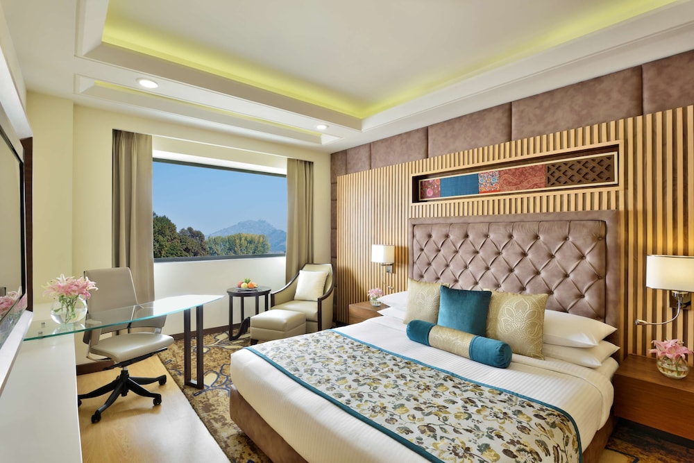 Radisson Srinagar 11/54