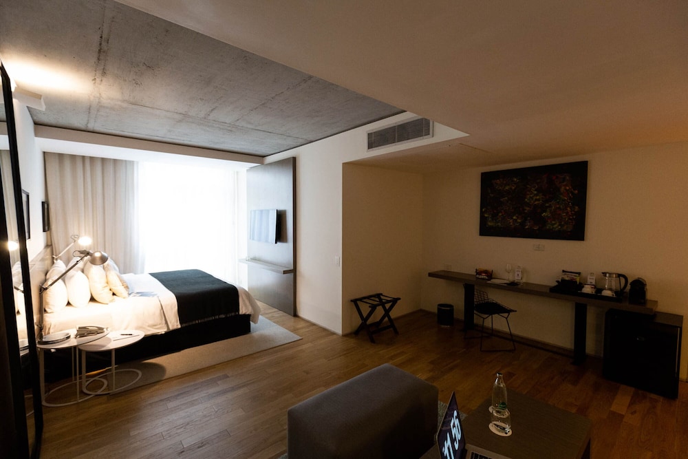 Anselmo Buenos Aires Curio Collection By Hilton 17/47