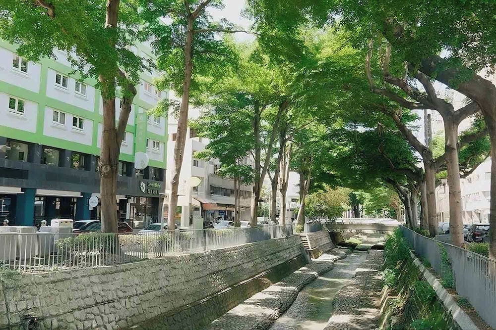 Green Hotel 54/63