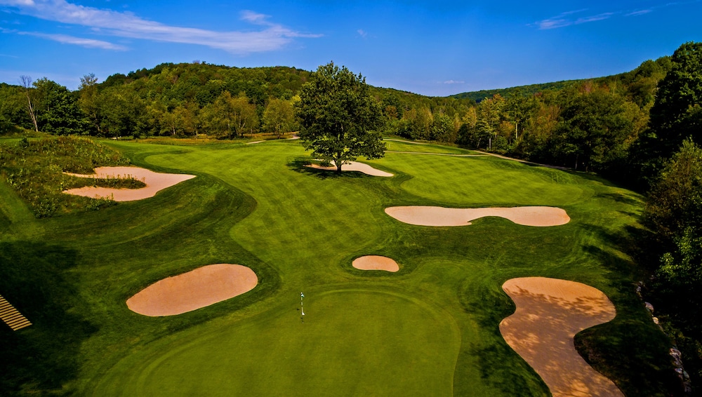 Shanty Creek Resorts - Summit Village 47/50