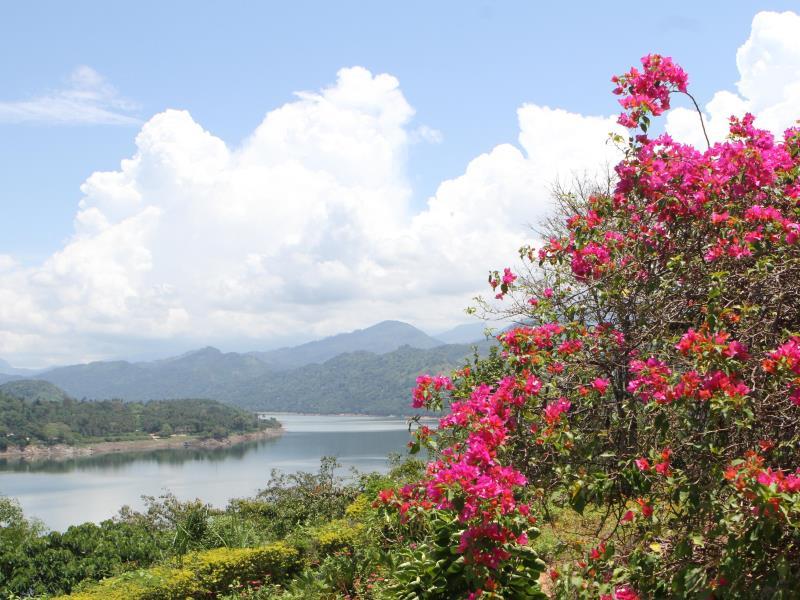 Peradeniya Rest Inn 9/16