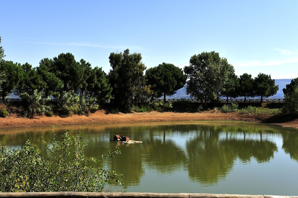 surroundings