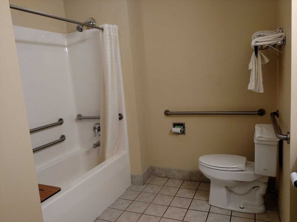 Holiday Inn Express Toledo West Napoleon 64/65