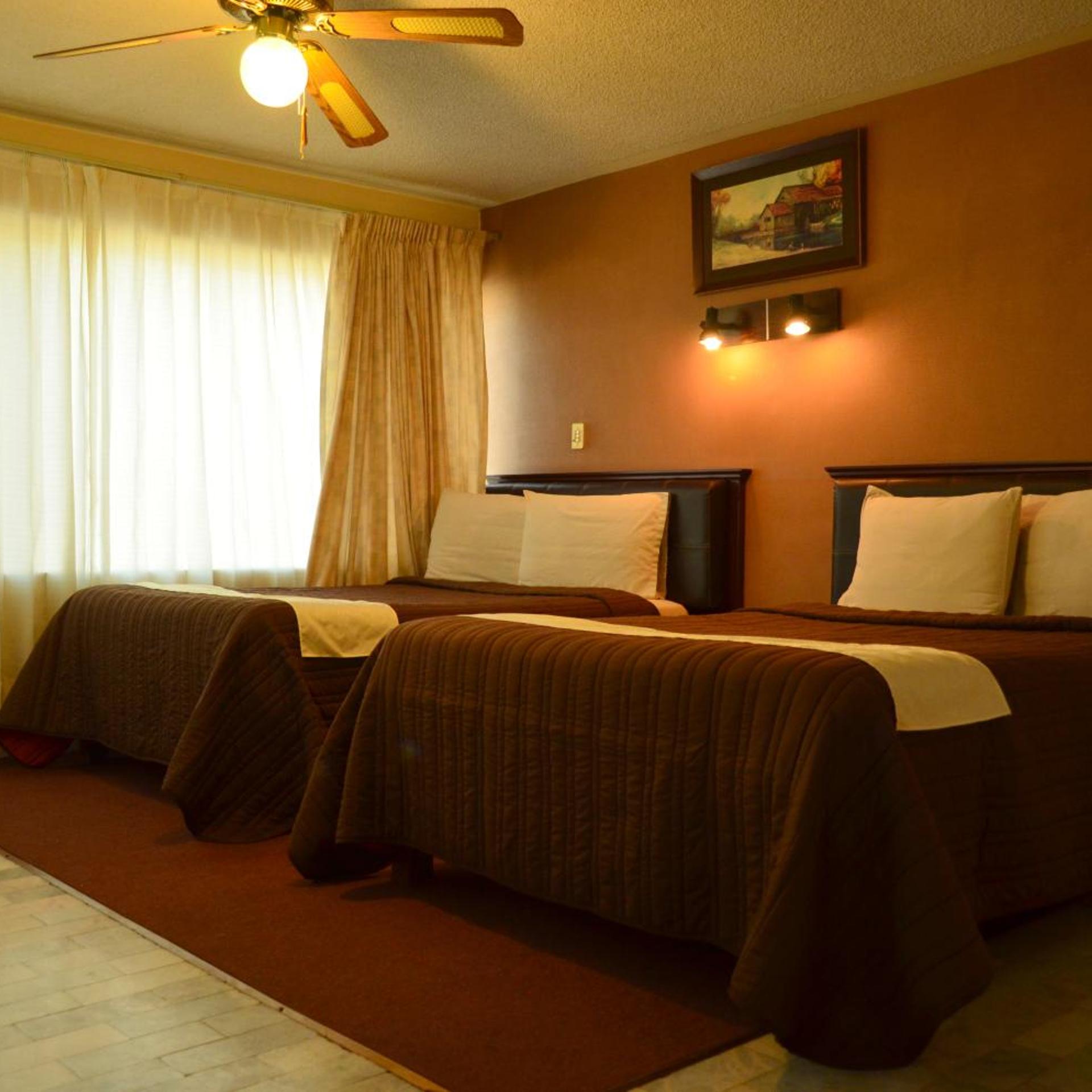 Hotel Flamingo Kristal 28/50