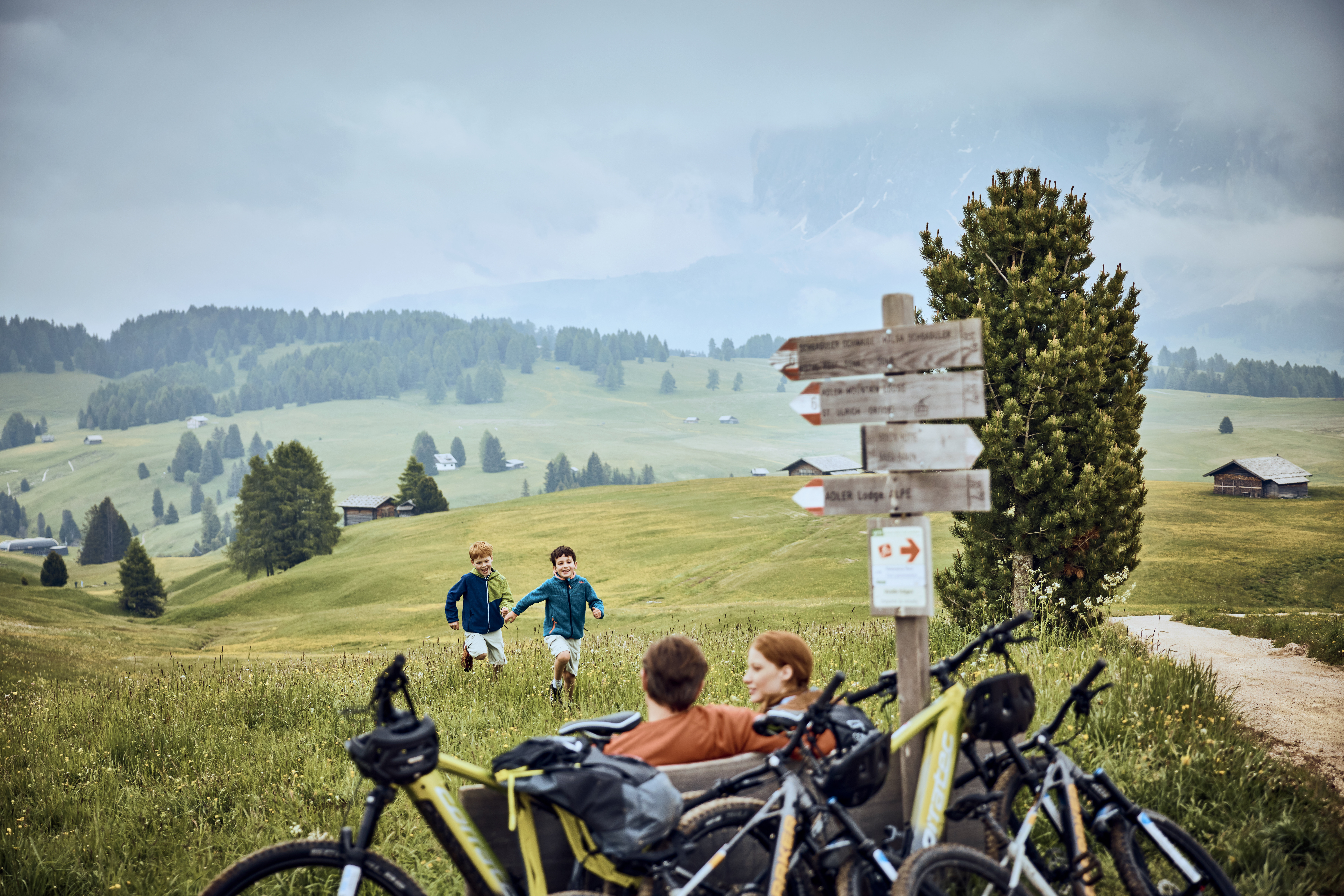 Alpina Dolomites 27/50