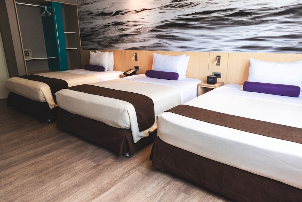 Palmetto Hotel Business San Borja 14/70